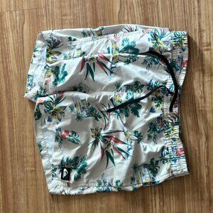 Quicksilver Board Shorts